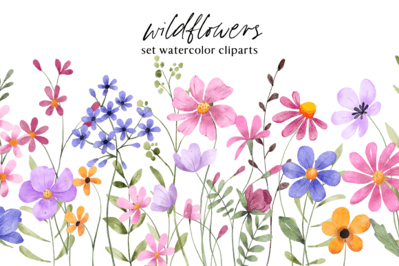 Download Floral Watercolor Set, Flowers, Leaves. - Flora Collection